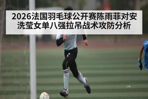 2026法国羽毛球公开赛陈雨菲对安洗莹女单八强拉吊战术攻防分析
